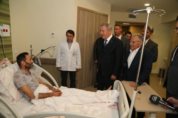 akar-ara.jpg