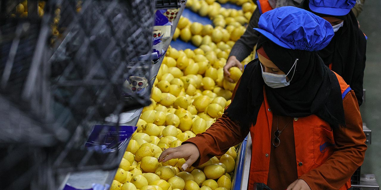 limon.jpg