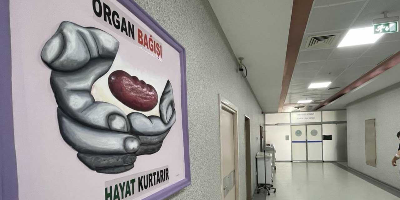 organnakli2.jpg
