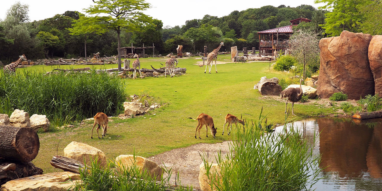 zoo-leipzig.jpg