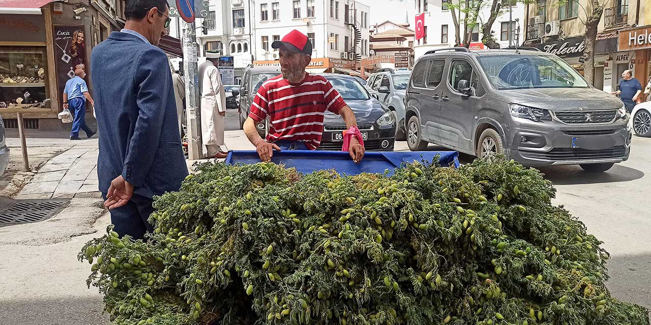 yesil-nohut.jpg