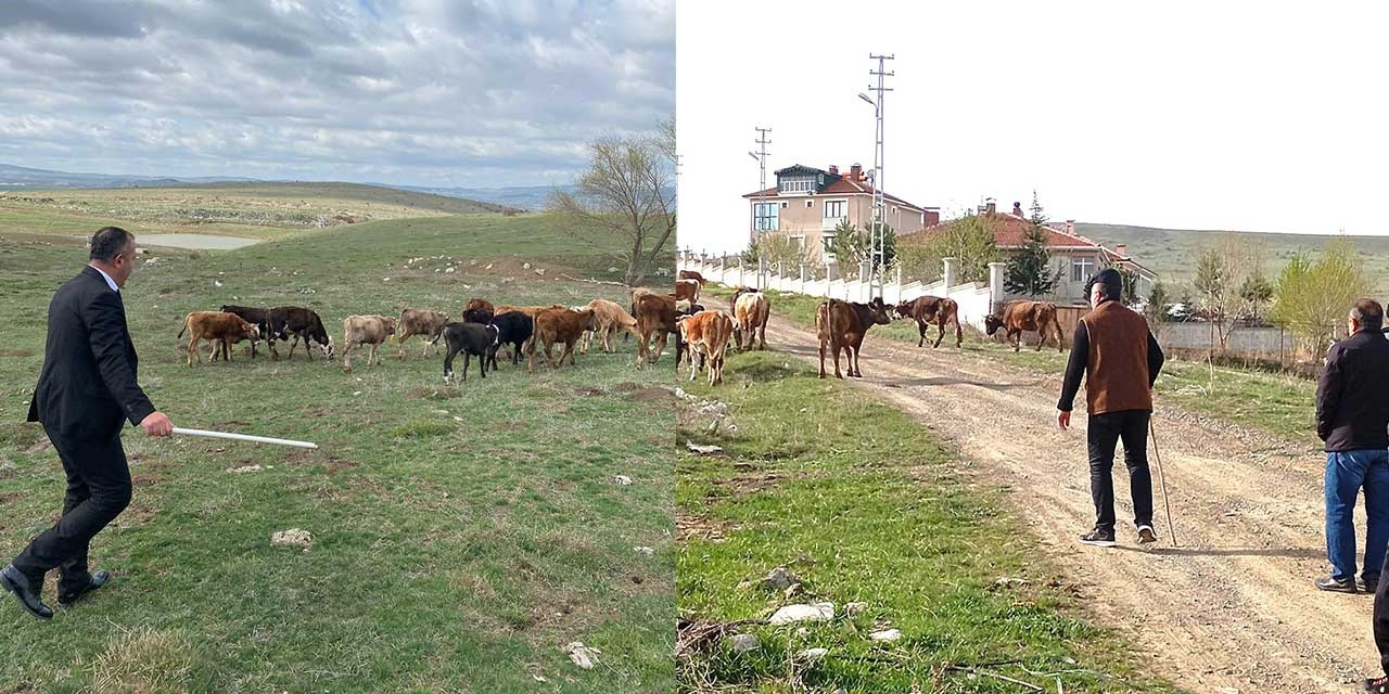 yaylakent3.jpg