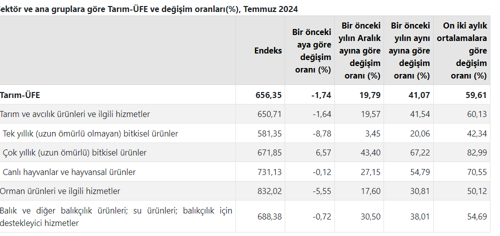 ekran-goruntusu-2024-08-15-103724.png