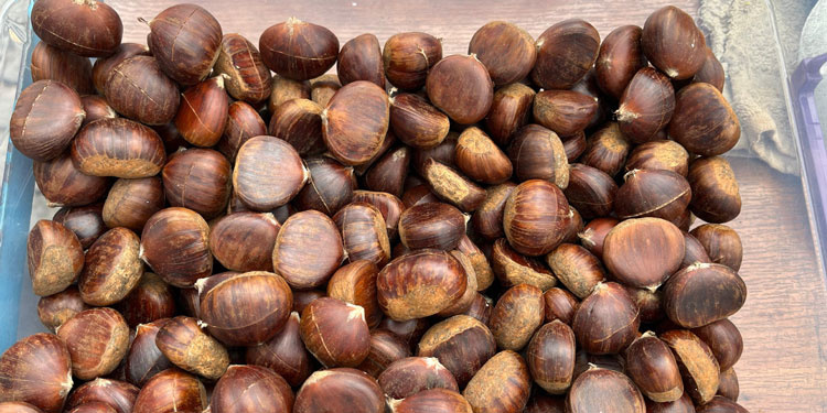 kestaneler.jpg